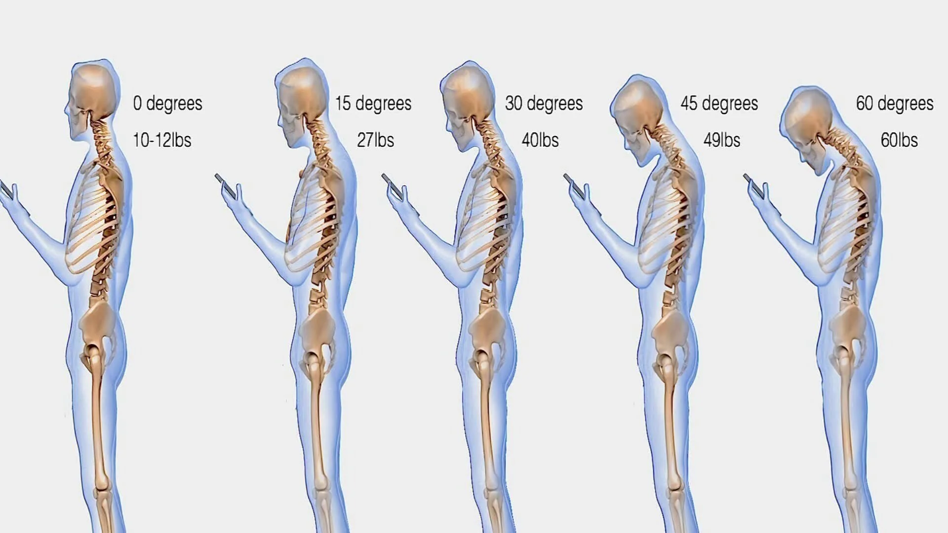 Pilates for Posture Movementality Education